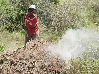 Charcoal Burning in Kwale